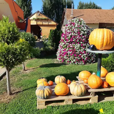 Apartman White Mountain Banovci